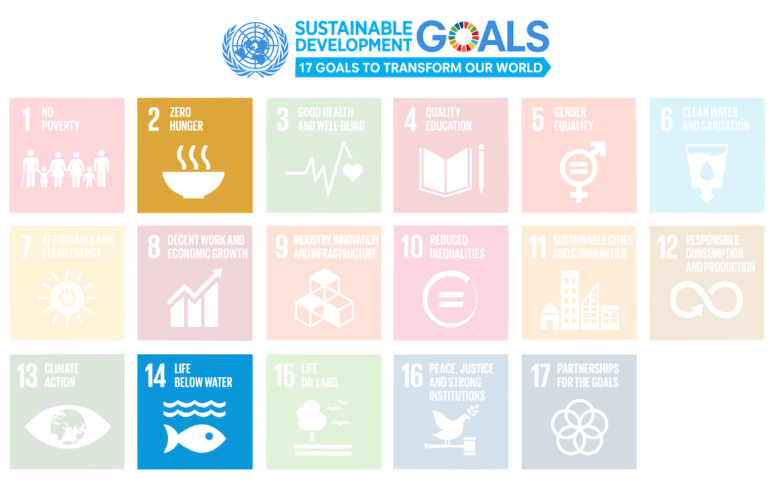 United Nations Sustainable Development Goals